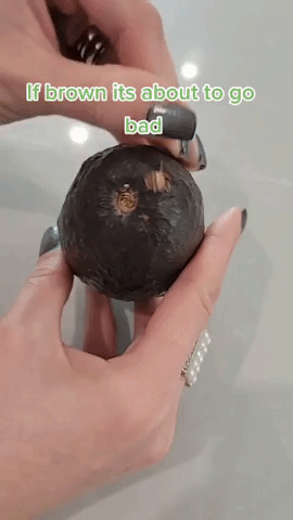 Bí kíp chọn bơ Bí kíp chọn bơ