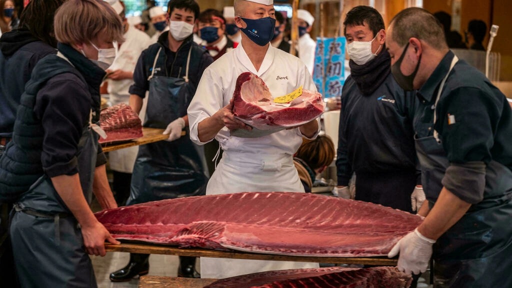 Đầu bếp Akifumi Sakagami (giữa) cầm một phần cá ngừ mua chung với tập đoàn Onodera điều hành chuỗi nhà hàng sushi và nhà bán buôn Yamayuki tại chợ cá Toyosu hôm 5/1. Ảnh: AFP.