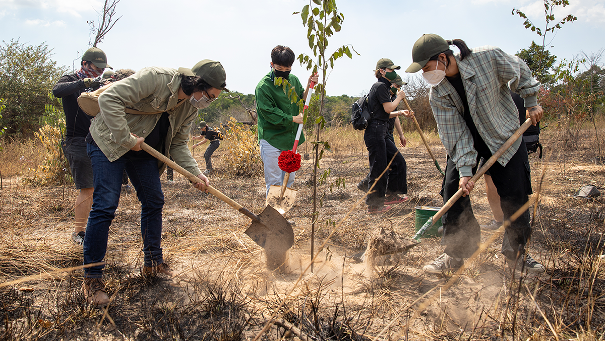 Các sao Việt chung tay cùng Hà Anh Tuấn trồng cây gây rừng: Ảnh: Kiếng Cận
