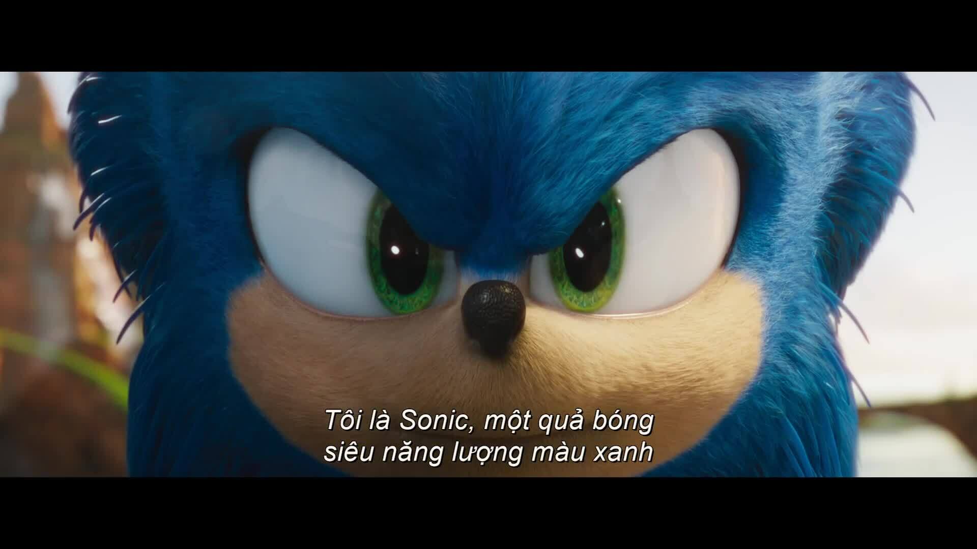 ​Sonic the Hedgehog (Nhím Sonic)