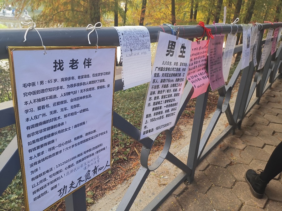 Những ap phích với thông tin cá nhân được treo ở góc mai mối ở công viên Thiên Hà. Áp phích của ông Zhang Damao ngoài cùng trái. Ảnh: Thinkchina