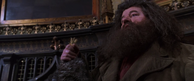 9 chi tiết Harry Potter tập 2 tưởng bình thường, té ra có ý nghĩa không tưởng: Harry suýt bị giết ở sân trường Hogwarts, tin được không? - Ảnh 8.