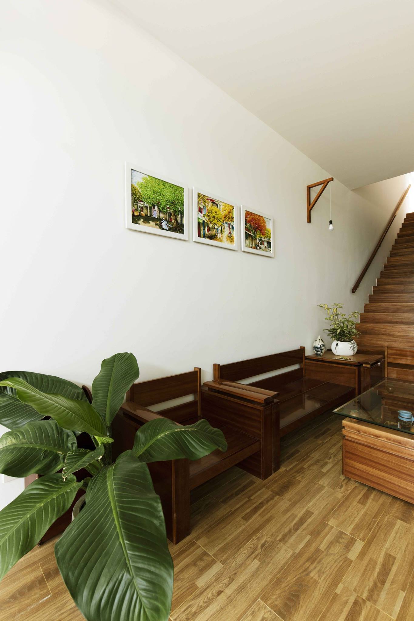 Ngôi nhà được “vẽ” bởi vườn rau, vệt nắng và nội thất cũ