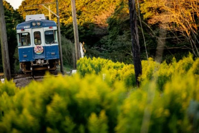 Một đoàn tàu đi qua tuyến đường sắt điện Choshi, ở tỉnh Chiba, Nhật Bản, ngày 20/10. Ảnh: AFP.