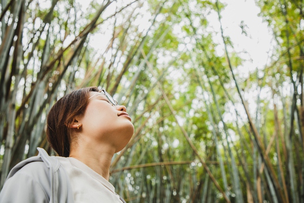 Phổi giúp chúng ta sống sót, hàng ngày cần làm được 5 việc để giải độc phổi tốt nhất - Ảnh 3.