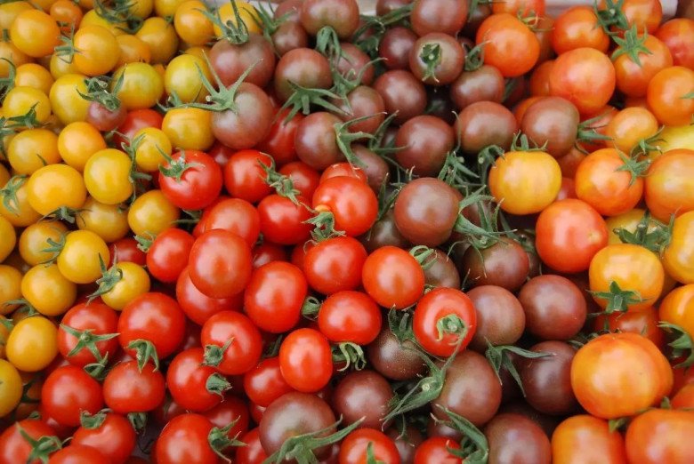 Lycopene trong cà chua bi có khả năng chống ung thư mạnh mẽ. (Ảnh minh họa)