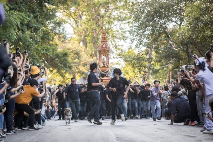 Chó Tia Morchor leo núi cùng các tân sinh viên Đại học Chiang Mai. Ảnh: Khaosod