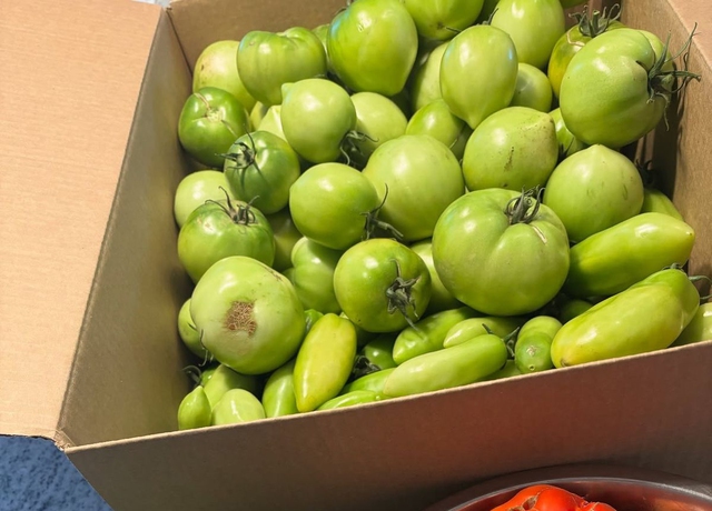 Đã đến lúc TỰ CỨU LẤY GAN bằng cách NGỪNG ĂN 5 loại rau củ quen nhưng cực hại- Ảnh 1. Đã đến lúc TỰ CỨU LẤY GAN bằng cách NGỪNG ĂN 5 loại rau củ quen nhưng cực hại- Ảnh 1.