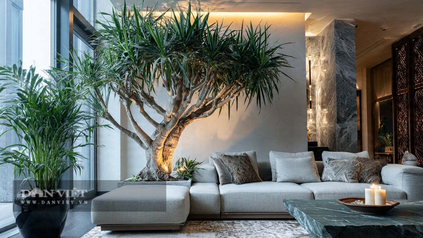 Bón phân hữu cơ cho cây cảnh mỗi một hoặc hai tháng một lần