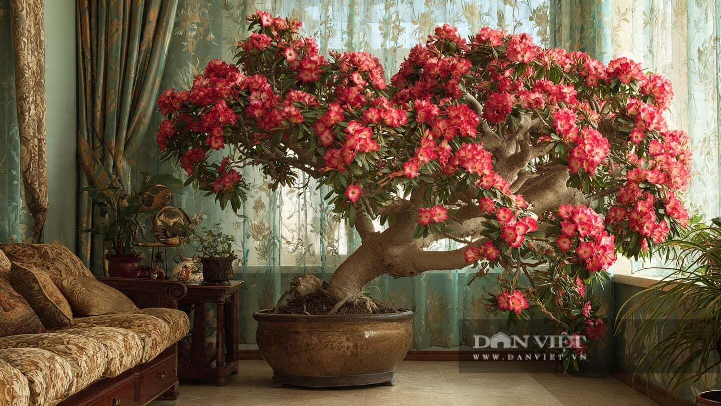 Trồng cây cảnh cần kiên trì