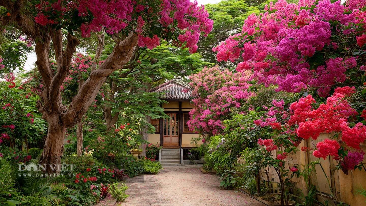 Người xưa cho rằng, trồng cây tường vi trong sân nhà có thể xua đuổi tà ma bằng năng lượng hài hòa và tốt lành, trường thọ.