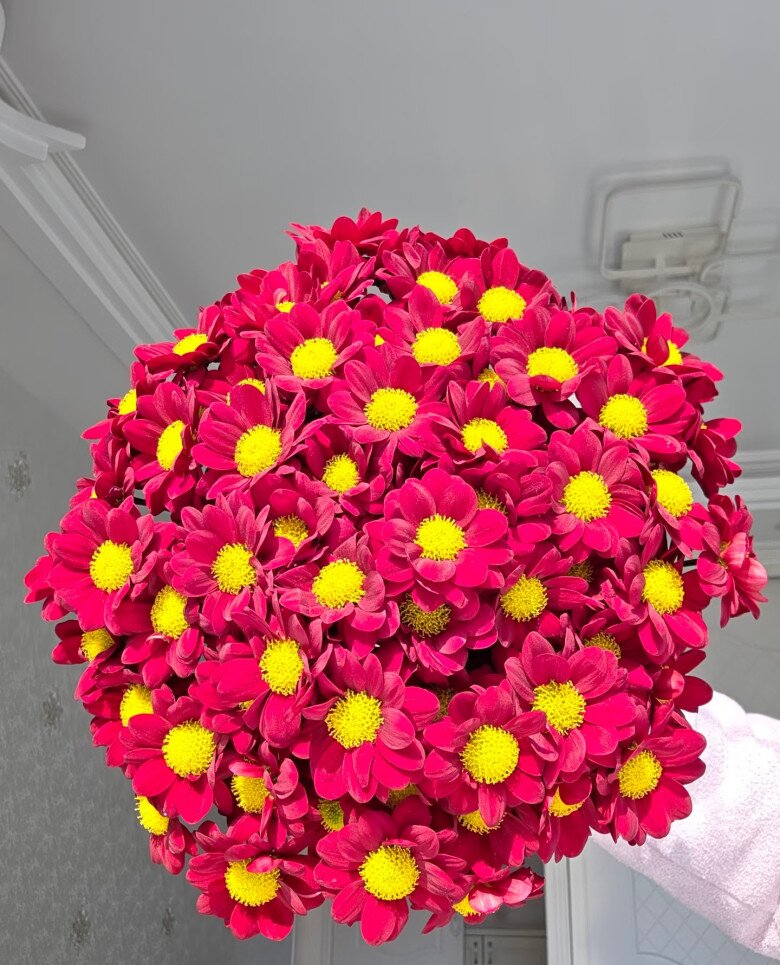 Loại hoa cực hợp không khí Tết Nguyên đán, vừa đẹp rực rỡ vừa may mắn, nở bền suốt nhiều tháng - 5