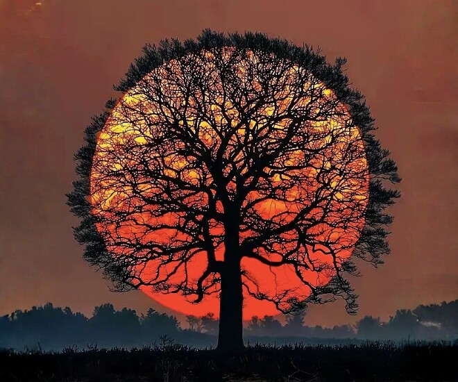 Trắc nghiệm tâm lý: Một ánh nhìn thấu suốt hậu vận, cuộc đời bạn sẽ viên mãn như ý? - 1