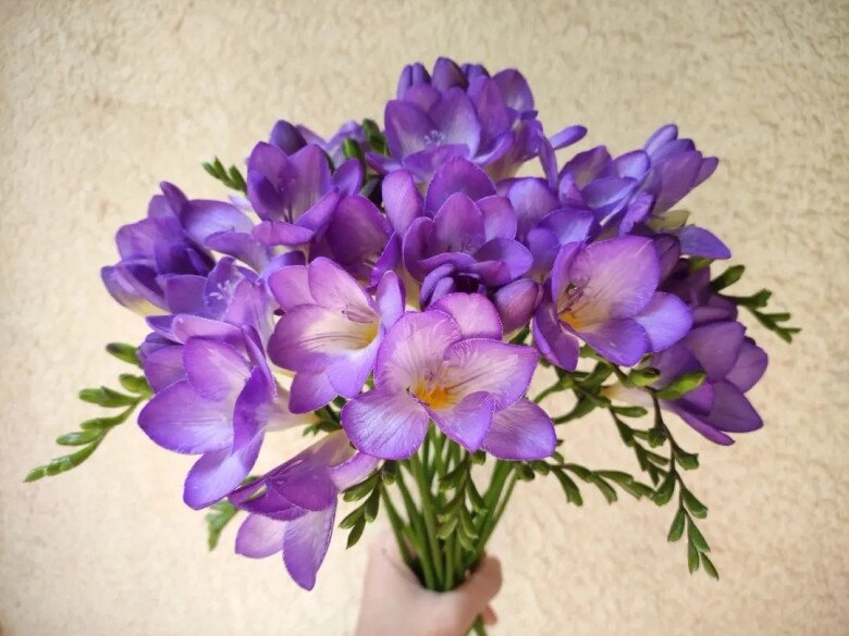 Trồng 10 chậu hoa nhài không bằng một chậu hoa này, thơm như nước hoa, Tết trưng trong nhà gia đình bình an - 10