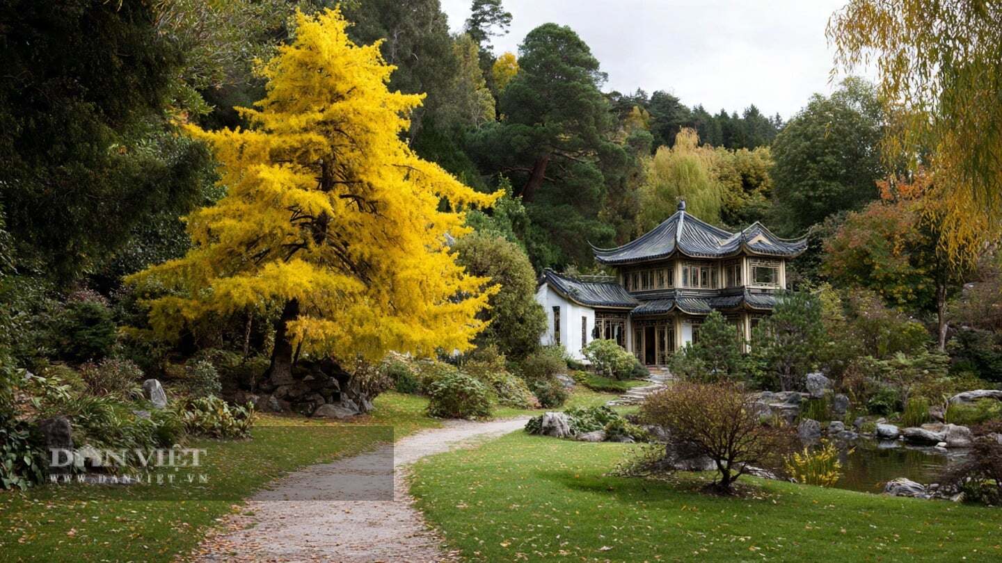 Những cây tiền tài tượng trưng cho việc thu hút tài lộc và thịnh vượng