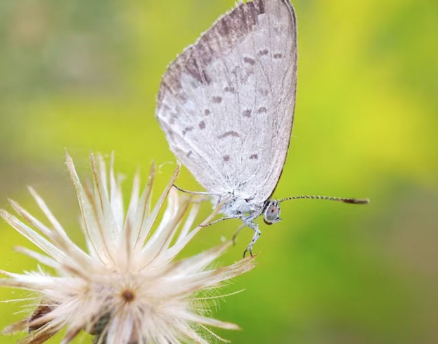 Người sinh vào giờ sinh Tý thường có nội tâm sâu sắc, tầm nhìn xa và khả năng sáng tạo nổi bật - Ảnh minh họa.