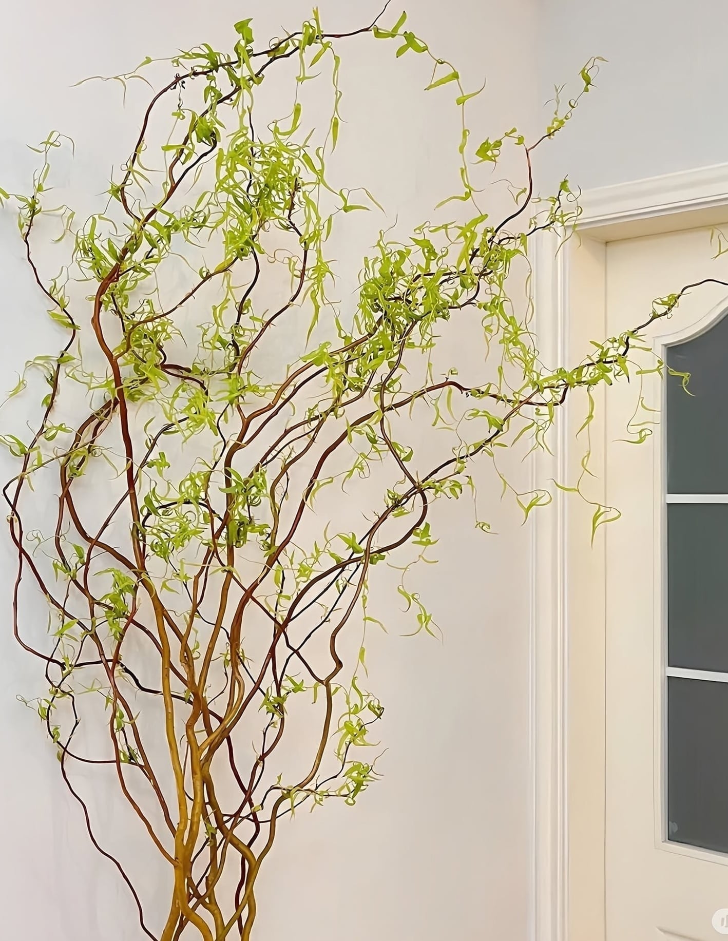 Chúng mang ý nghĩa đẹp đẽ về rồng và phượng hoàng nhảy múa