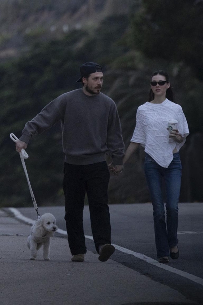 Brooklyn và Nicola dắt chó đi dạo ở California. Ảnh: Backgrid