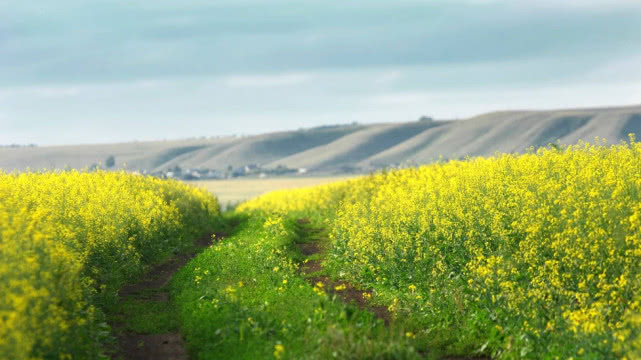 4 con giáp vượng phu ích tử, càng lớn tuổi càng gặp nhiều may mắn - 2