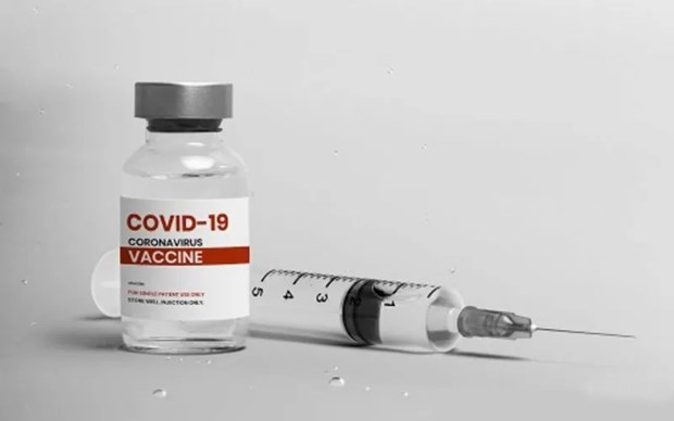 Indonesia muon su dung vaccine COVID-19 noi tu thang 8 hinh anh 1