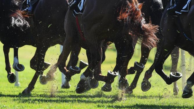 The number of complaints to Victoria's Racing Integrity Commissioner have jumped by 62 per cent. (Dave Hunt/AAP PHOTOS)
