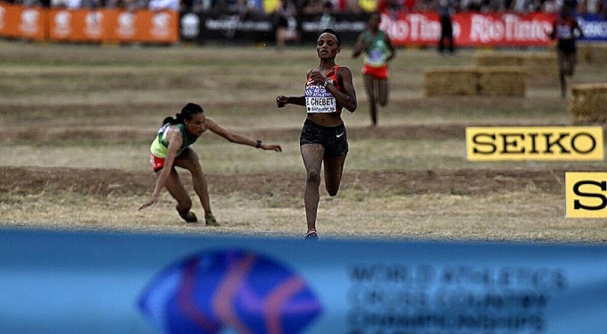 Chebet bứt lên về nhất sau khi Gidey tự vấp ngã gần đích. Ảnh: Athletics Podium