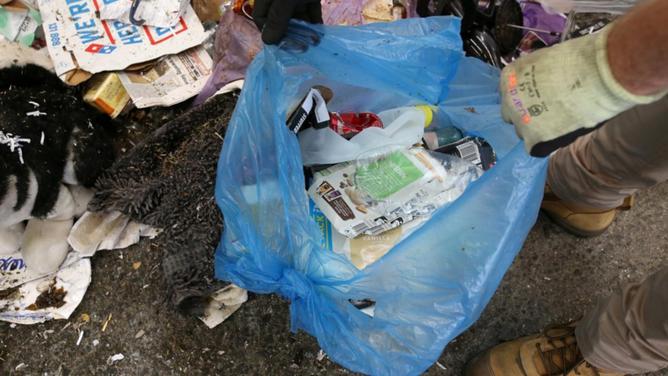 About two-thirds of rubbish collected by volunteers from the environment last year was plastic. (Jono Searle/AAP PHOTOS)