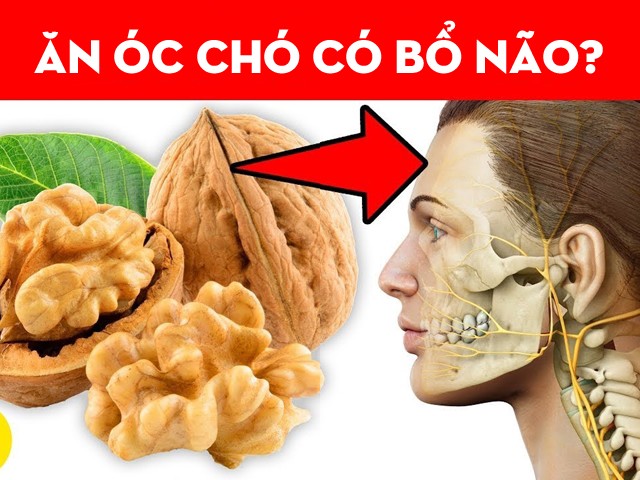 Quả óc chó chứa những chất dinh dưỡng có lợi cho tế bào não. (Ảnh minh họa)