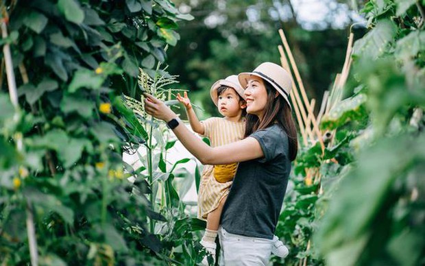 Có nên cho con cái biết điều kiện kinh tế của gia đình? Chia sẻ của một bà mẹ trẻ khiến nhiều bậc phụ huynh phải suy ngẫm - Ảnh 3.