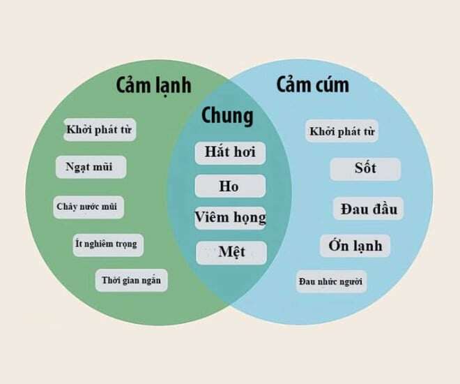 Một số điểm chung và khác biệt của cúm mùa và cảm lạnh.