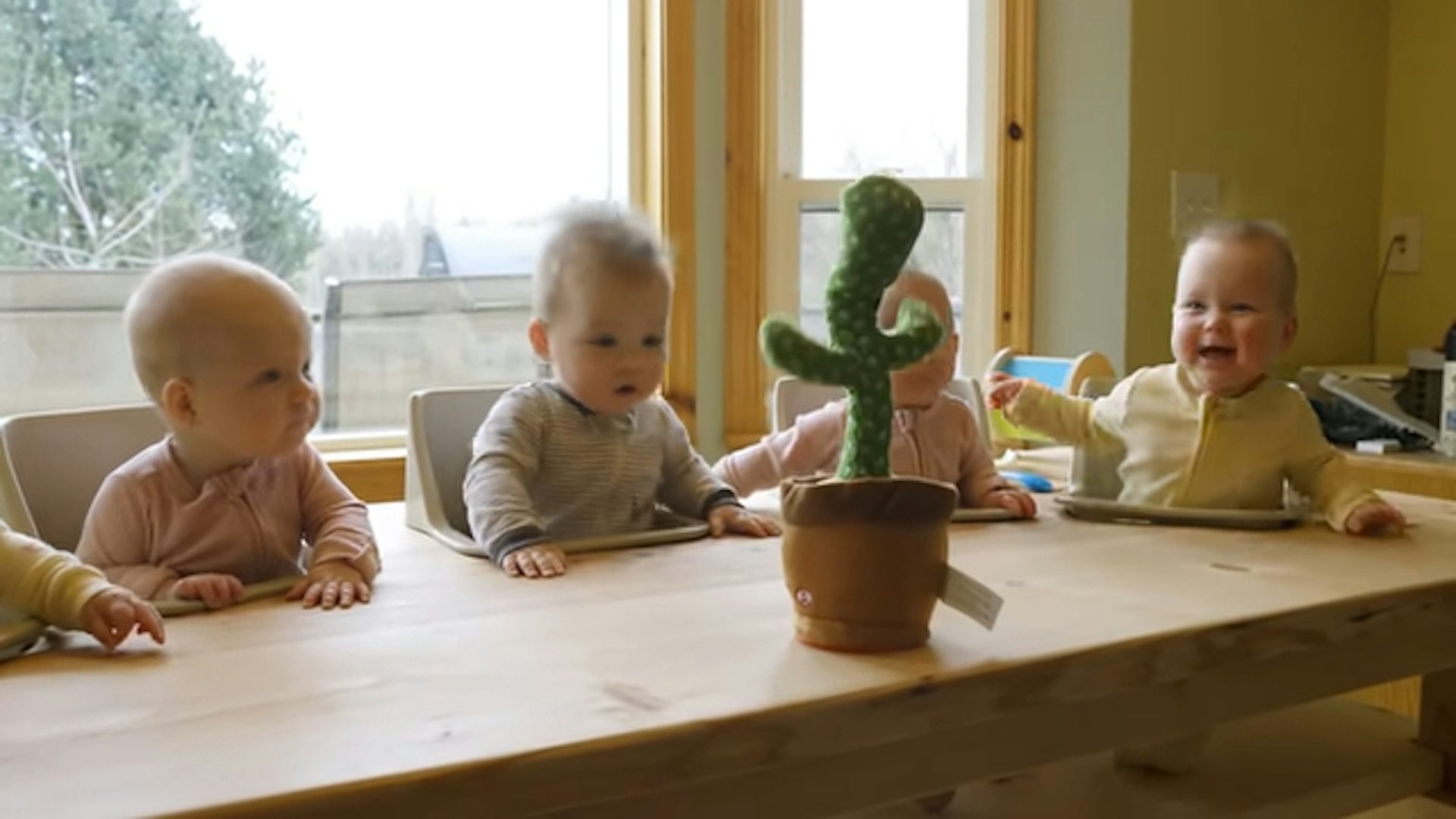 Bộ bàn ăn đặc biệt dành riêng cho 5 đứa trẻ.