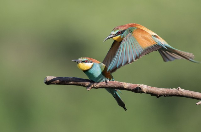 Trên hành trình cuộc đời, người sinh vào ngày 16 Âm lịch không thiếu quý nhân đồng hành, mở lối cho sự nghiệp và tài lộc - Ảnh minh họa.