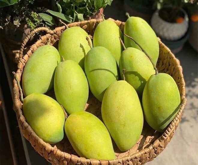 Loại quả amp;#34;tốt nhất thế giớiamp;#34; chỉ có ở Đồng Tháp, thành đặc sản đắt khách dịp Tết, trồng một lần thu hoạch nhiều năm - 1