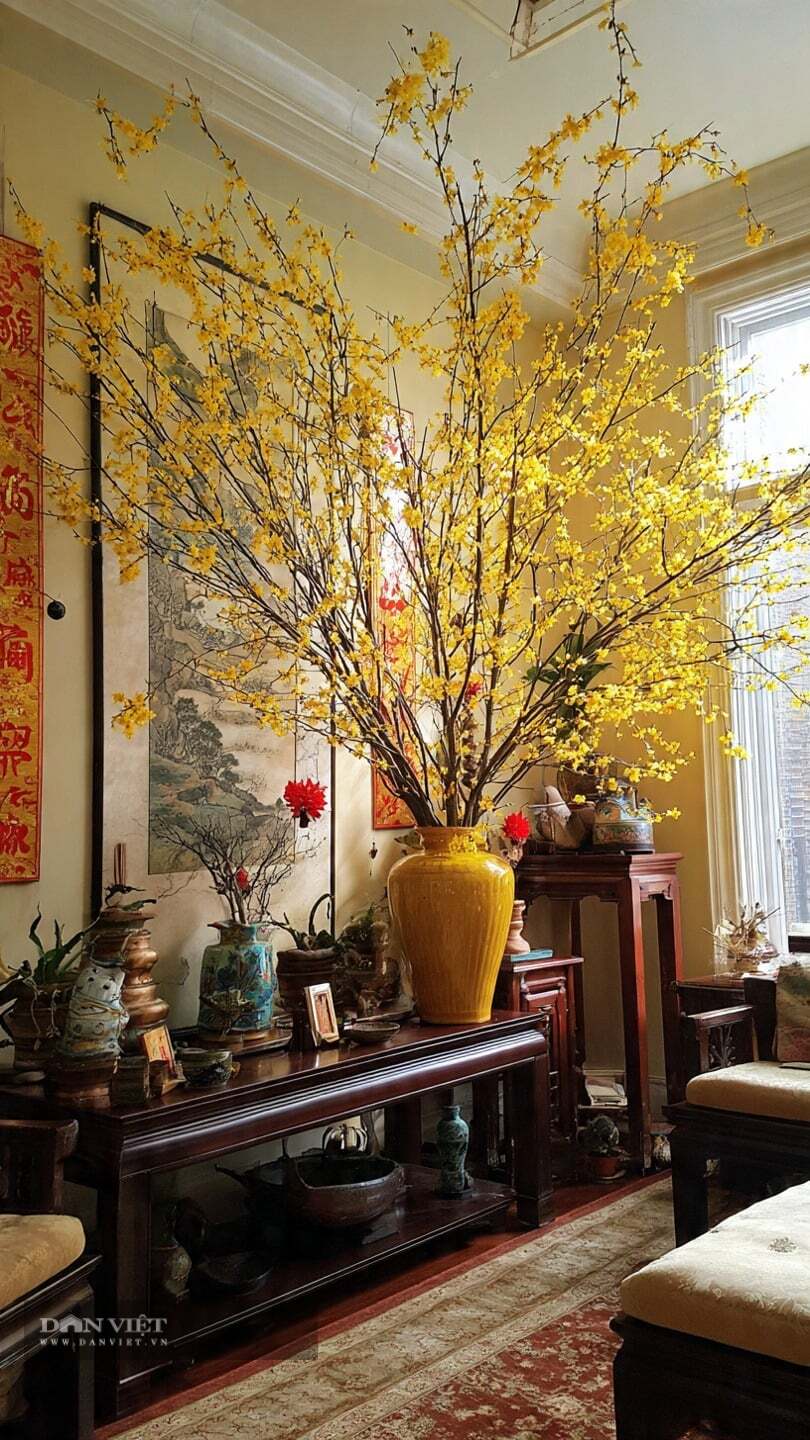 Cây cảnh mang đến niềm hy vọng và những kỳ vọng tuyệt vời trong năm mới.