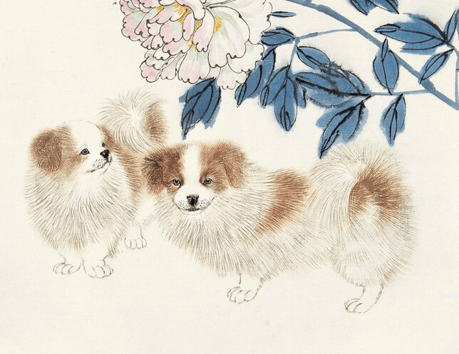 Tử vi tuần mới 9-15/2: Mùi bất ngờ đón lộc, Hợi chớ bốc đồng - 4