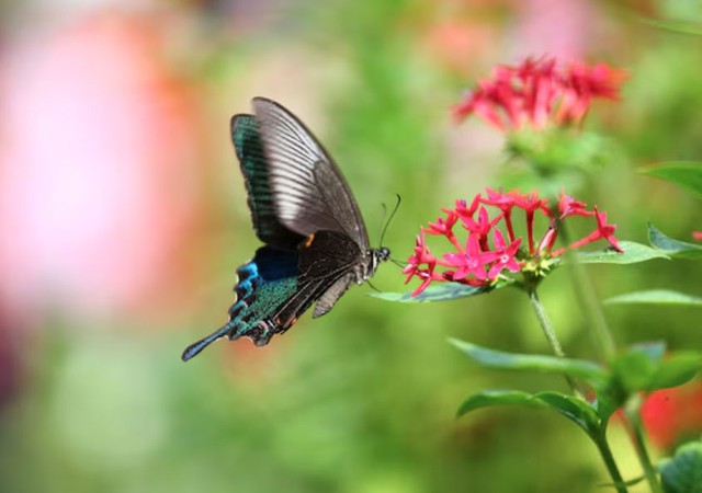 Người có ngày sinh Âm lịch kết thúc bằng số 6 đặc biệt giỏi trong quản lý tài chính. Ảnh minh họa