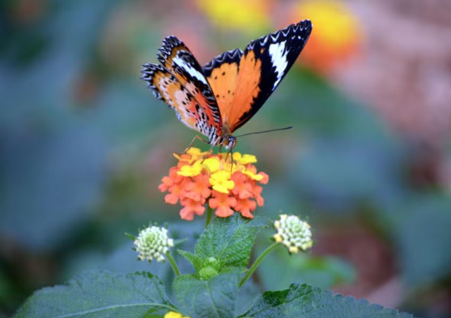 Điểm đáng quý nhất ở người có ngày sinh Âm lịch kết thúc bằng số 8 là khả năng xoay chuyển tình thế. Ảnh minh họa