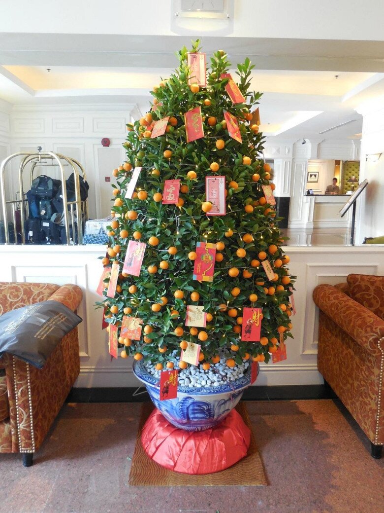 Sắm hoa Tết nên chọn kỹ, 5 loại hoa này rất “đáng đồng tiền bát gạo”, chơi xong vẫn có thể trồng lại trong vườn nhà - 5