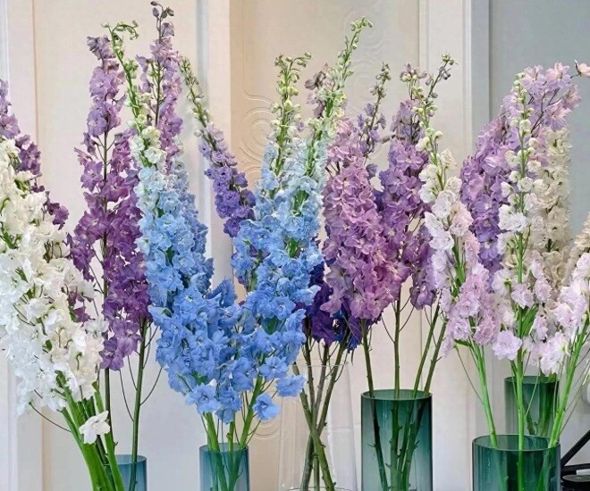 6 loại hoa đẹp sang bền hơn 30 ngày, Tết trưng một bình trong nhà đón tài lộc, may mắn cả năm - 1