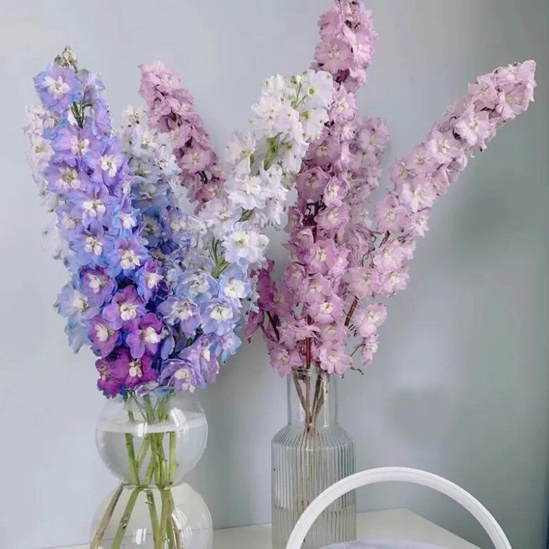 6 loại hoa đẹp sang bền hơn 30 ngày, Tết trưng một bình trong nhà đón tài lộc, may mắn cả năm - 2