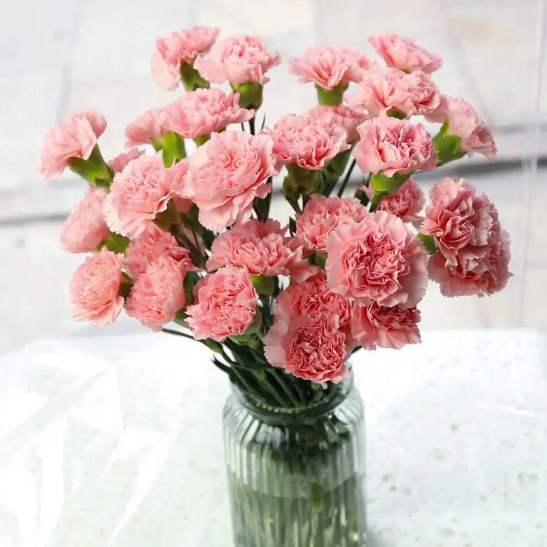 6 loại hoa đẹp sang bền hơn 30 ngày, Tết trưng một bình trong nhà đón tài lộc, may mắn cả năm - 11