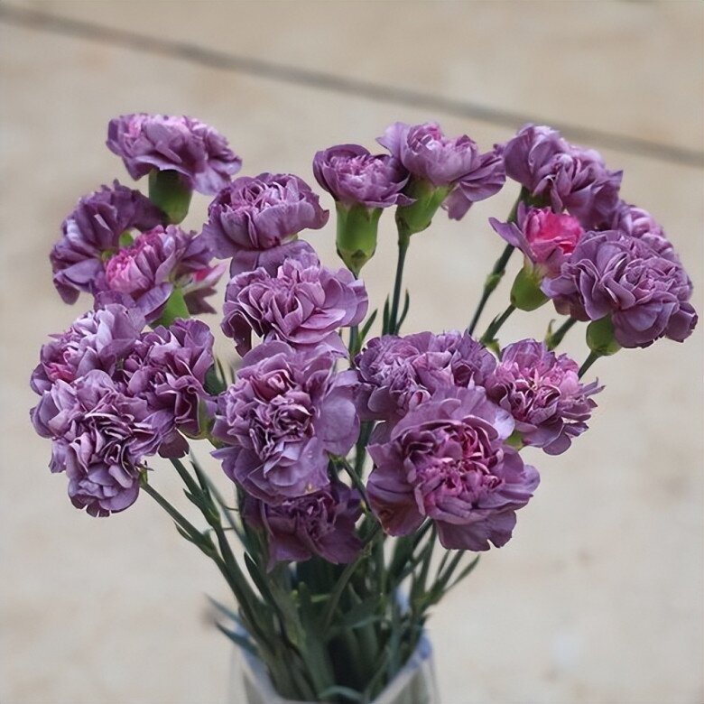 6 loại hoa đẹp sang bền hơn 30 ngày, Tết trưng một bình trong nhà đón tài lộc, may mắn cả năm - 12