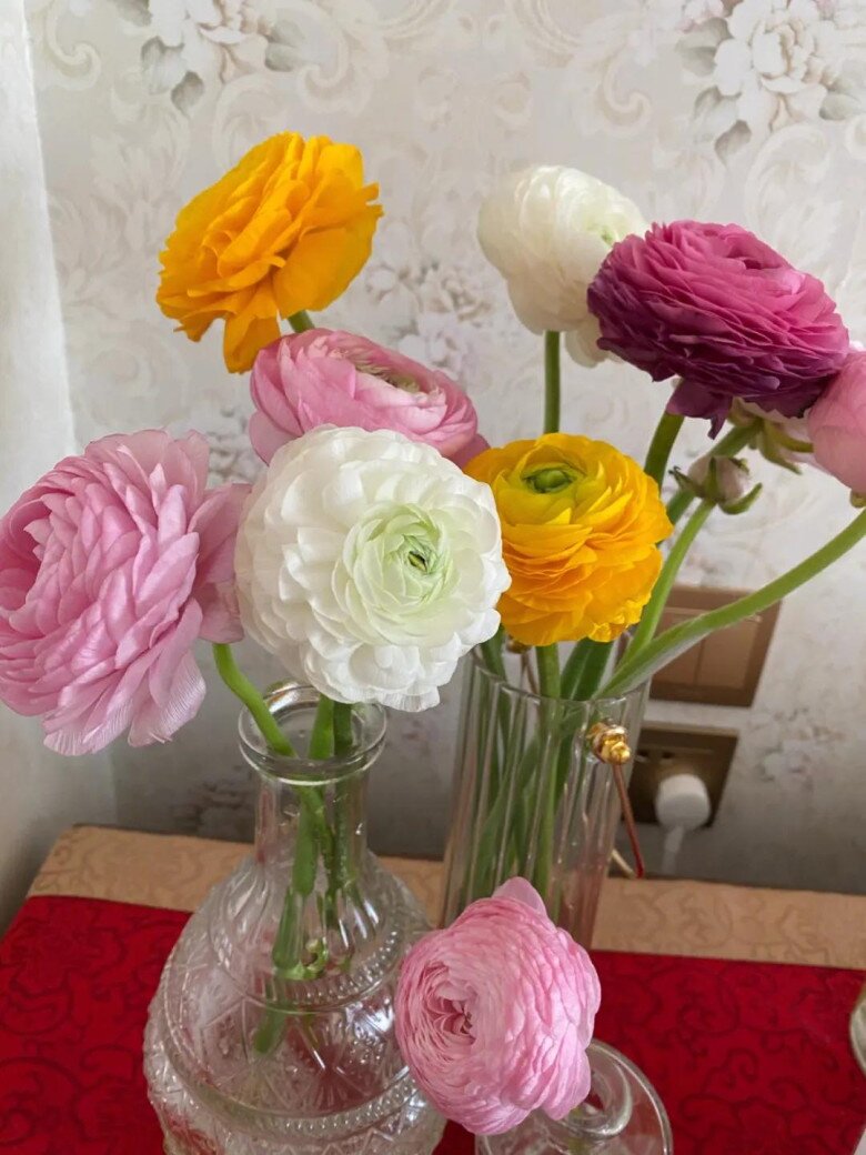 6 loại hoa đẹp sang bền hơn 30 ngày, Tết trưng một bình trong nhà đón tài lộc, may mắn cả năm - 4