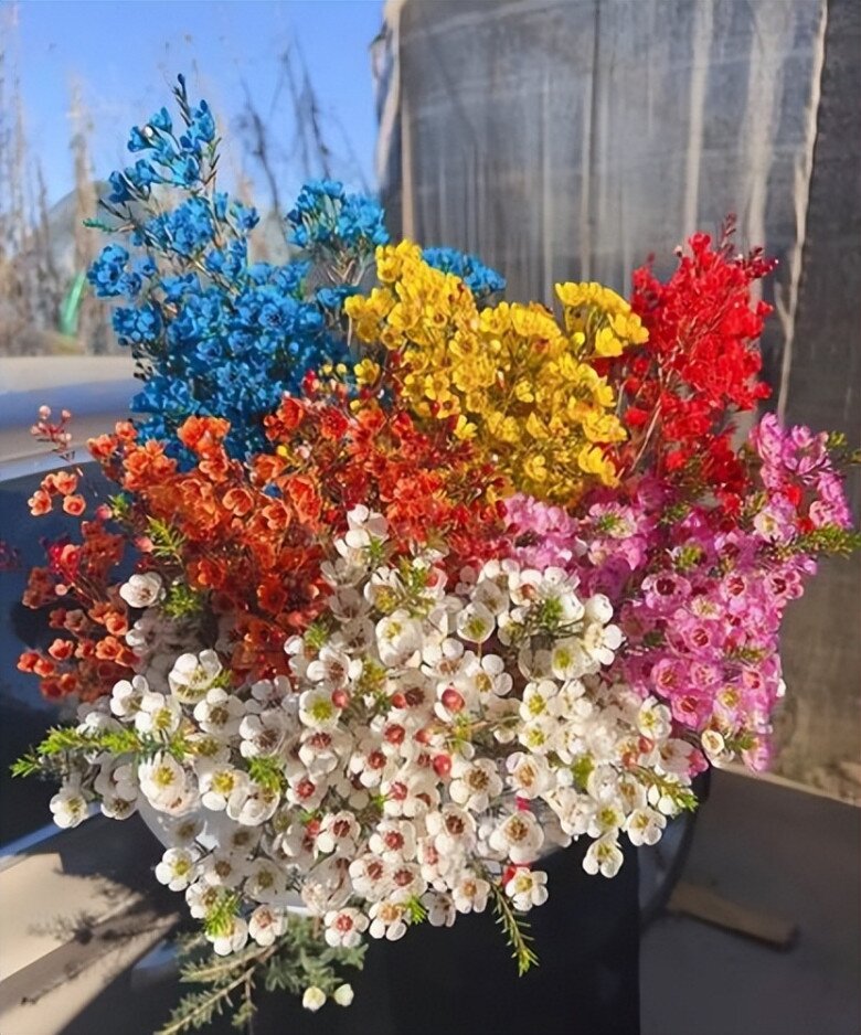 6 loại hoa đẹp sang bền hơn 30 ngày, Tết trưng một bình trong nhà đón tài lộc, may mắn cả năm - 7