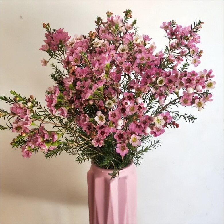 6 loại hoa đẹp sang bền hơn 30 ngày, Tết trưng một bình trong nhà đón tài lộc, may mắn cả năm - 8