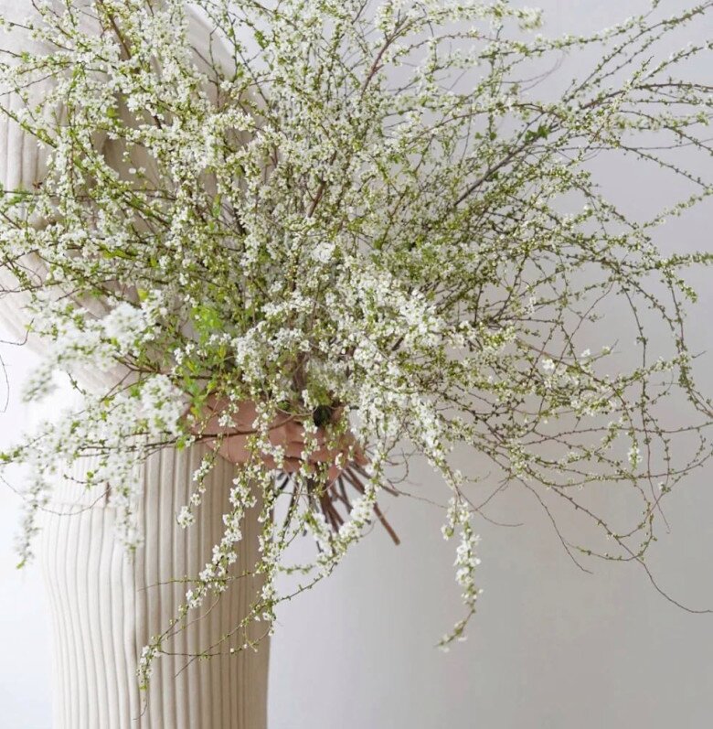 6 loại hoa đẹp sang bền hơn 30 ngày, Tết trưng một bình trong nhà đón tài lộc, may mắn cả năm - 9