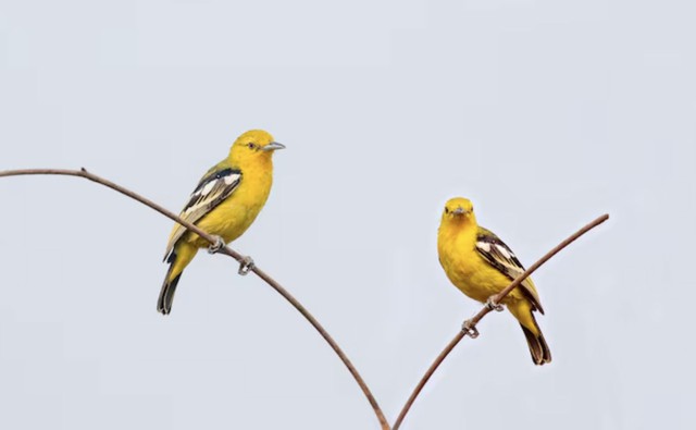 Trên hành trình phát triển sự nghiệp, người sinh tháng 5 Âm lịch không thiếu cơ hội. Ảnh minh họa