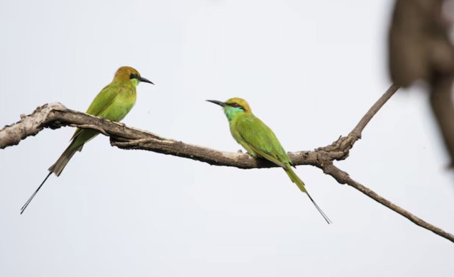 Người sinh tháng 8 Âm lịch còn giỏi xây dựng và duy trì các mối quan hệ xã hội. Họ hiểu giá trị của sự hợp tác và biết cách tận dụng nguồn lực xung quanh. Ảnh minh họa