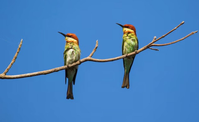 Đến tuổi xế chiều, điều người sinh tháng 12 Âm lịch nhận lại không chỉ là thành quả vật chất mà còn là niềm vui khi con cháu quây quần, gia đạo bình an. Ảnh minh họa