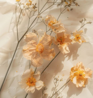 Màu cát tuy giản dị nhưng lại mang đến cảm giác an toàn, giúp cung hoàng đạo Cự Giải cân bằng cảm xúc. Ảnh minh họa